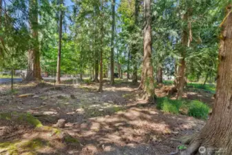 Buffered Privacy on this Generous Quarter of an Acre Fully Fenced Parcel!