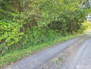 Looking north up the road and towards the property. It's wooded now, but with a little clearing it could be a very buildable lot.