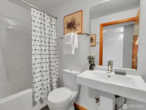 Full bath downstairs