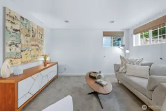 Bright lower-level Rec-room