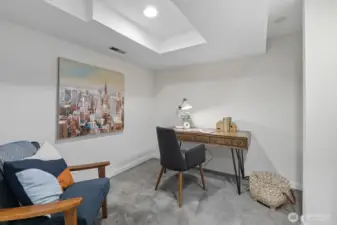 Lower-level Den