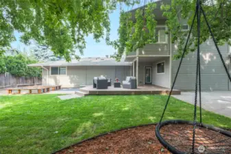 Back yard
