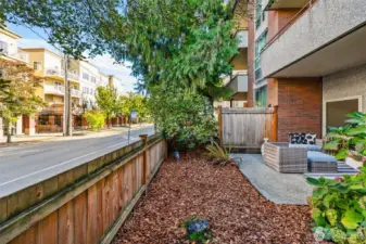 Spacious fenced in yard and patio.