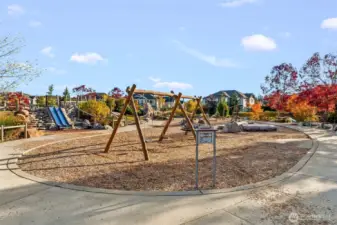 Brand New Exploration City park!