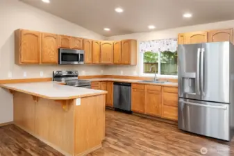 Stainless appliances