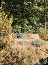 Septic system & approximate right boundary