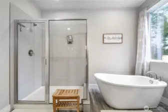 Separate soaking tub and shower!