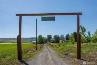 Driving up a long private driveway that leads to a home set in the middle of the property. Offering privacy, open space, and endless possibilities, this land is perfect for farming, livestock, or future development.