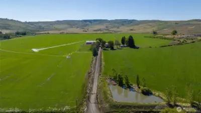Driving up the long private driveway from Weaver Road, you approach the main house and guest house, nestled in the heart of the property. This west-facing view showcases the expansive open land, offering privacy, space, and endless possibilities. A true countryside retreat just minutes from town!