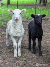 this home is great  for entertaining