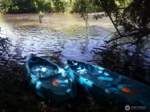 the only transportation you'll need