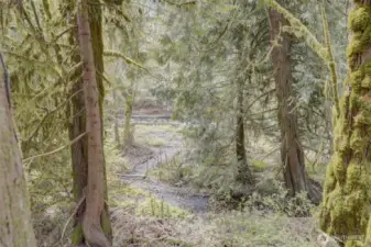 One of many beautiful trails and things to see on your own island