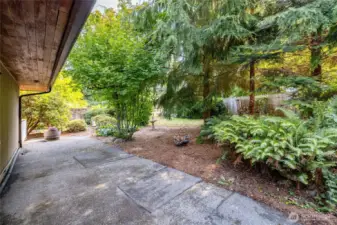 The back side of the house. Enjoy the shade of the beautiful Douglas Fir and Cedar trees. Patio space too.