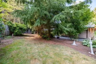 Just inside the 30th St gate, so much room in the big yard. A wood pile stacked to the left and an outbuilding straight ahead.