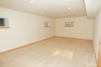 Large family room downstairs.