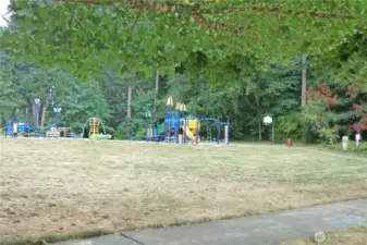 Margaret McKenny Park in the cul-de-sac.