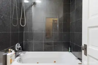 Jacuzzi tub with shower wand.