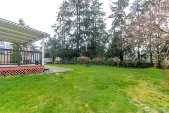 Trees offering additional back yard privacy.