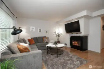 Cozy gas fireplace insert