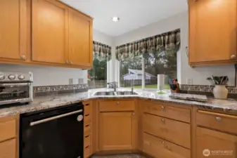 Love the corner set sink to see the lush yard.