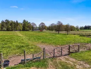 Pasture/Timber