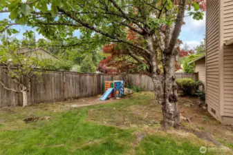 The backyard wraps around the corner of the house, for more space and options.