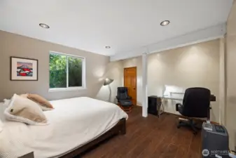 Lower level fourth bedroom