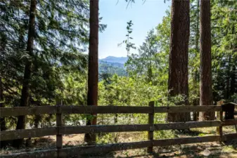 View from Front Yard