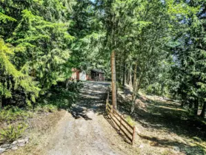 Driveway to Home
