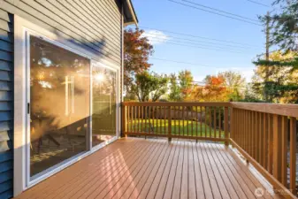 Freshly stained deck