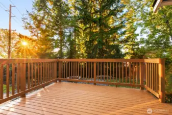 Freshly stained deck