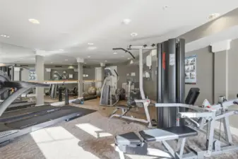 Gym with professional grade exercise equipment.
