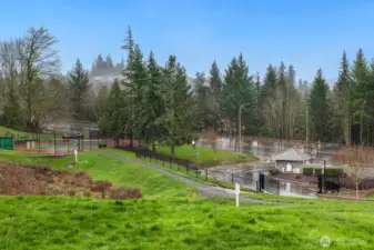 Welcome to Providence Point, an active and vibrant 55+ community. Amenities include indoor swimming pool, sauna, fitness center, and pickleball courts. Beautiful landscaping and walking trails throughout this community offer the perfect balance of relaxation and recreation.