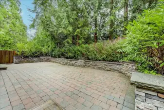 Massive backyard patio!  P