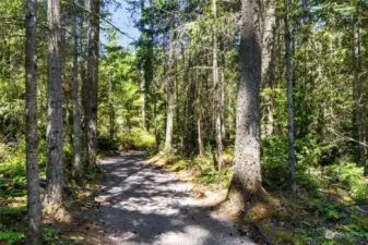 30+ Miles of Trails