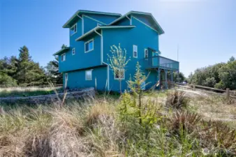 Natural dunes low maintenance landscaping