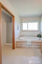 Jetted tub and separate shower