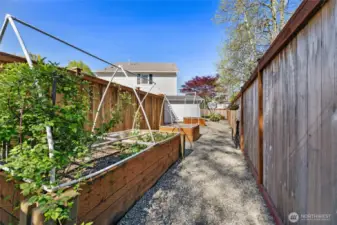 Vegetable Garden