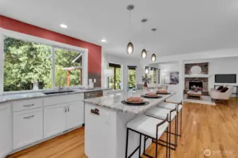 Fully remodeled kitchen with high-end and easy to maintain features.