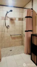 This is the shower in the bathroom next to the family room