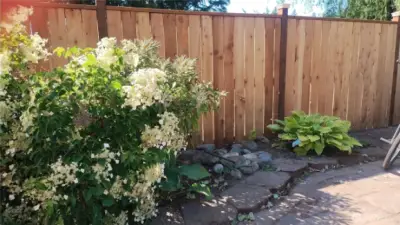 Beautiful landscaping in the backyard