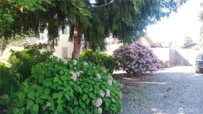 From the street, the property looks like a park!