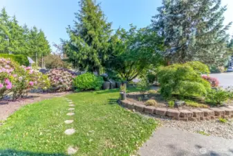 Plenty of bushes which flower each year!