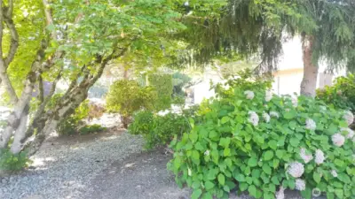 The front yard has several areas you can hang out and feel like you are in a park, like this area of the front yard which the street is behind