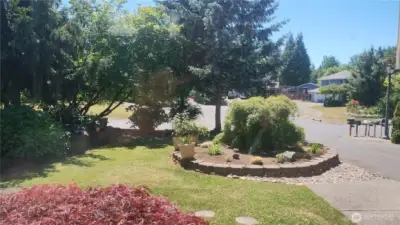 Beautiful scenery from inside your home- this is a view out the living room window!