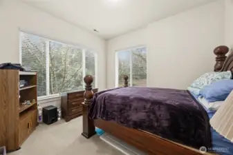 Bedroom 4 on lower level.