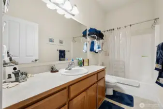 Lower level bathroom.