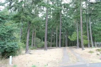 Cleared lot ready to build