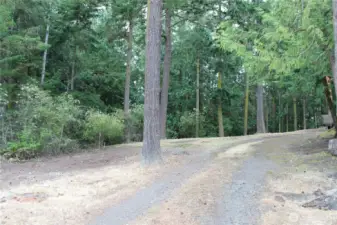 Driveway up and cleared homesite.