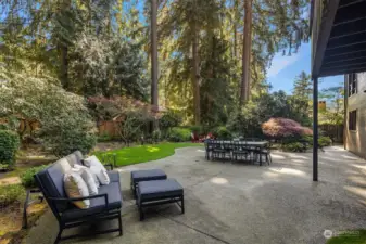 Large backyard with patio and firepit area for entertaining.